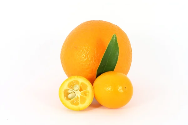 Laranja e kumquat — Fotografia de Stock