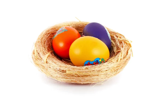 Colored eggs in nest — Stock Photo, Image