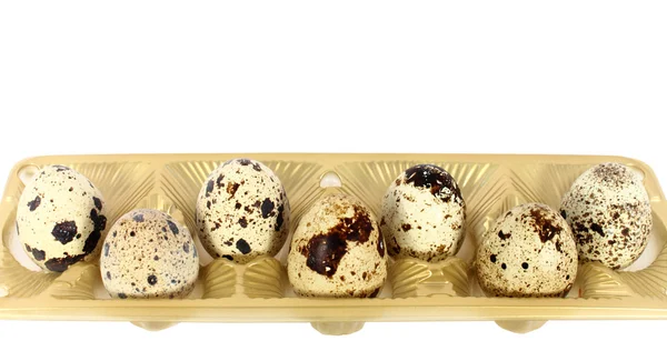 Яйца японского перепела — стоковое фото