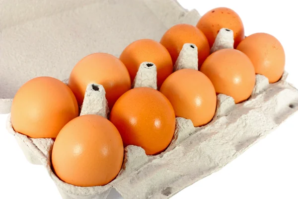 Τα αυγά σε ένα εμπορευματοκιβώτιο karton — Φωτογραφία Αρχείου