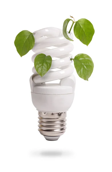 Energiebesparende lamp Stockfoto