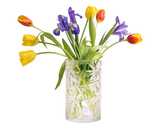 Buquê de tulipas e íris — Fotografia de Stock