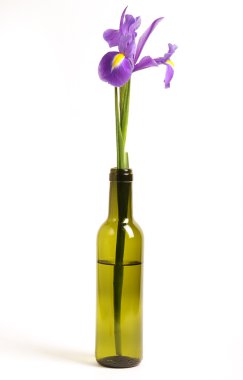 Iris in bottle clipart