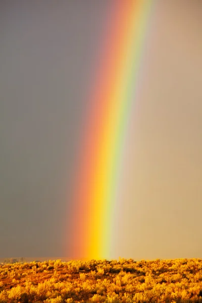 stock image Rainbow
