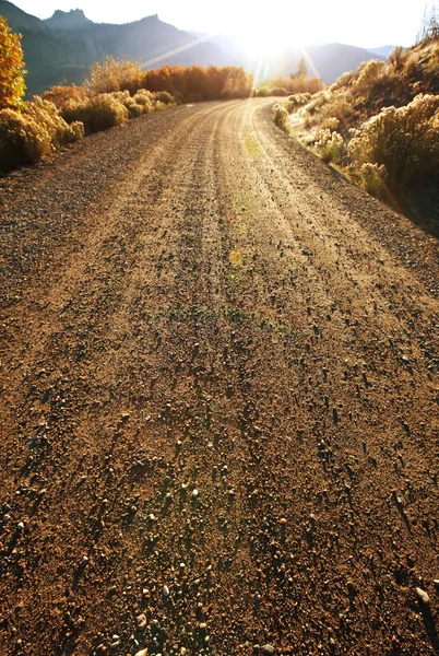 Дорога в поле — стоковое фото
