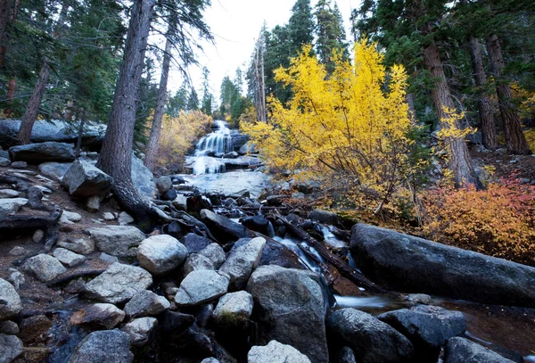 Höstens creek — Stockfoto