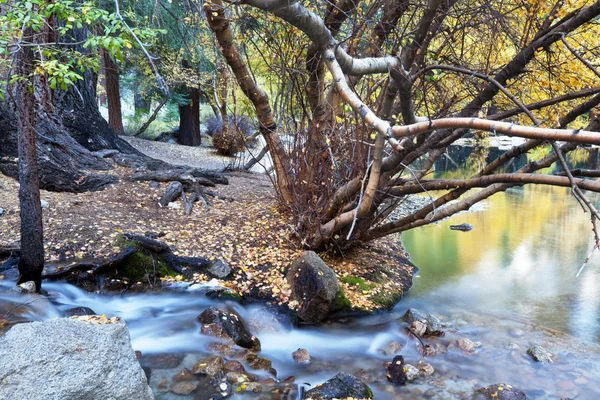 Jesień creek — Zdjęcie stockowe