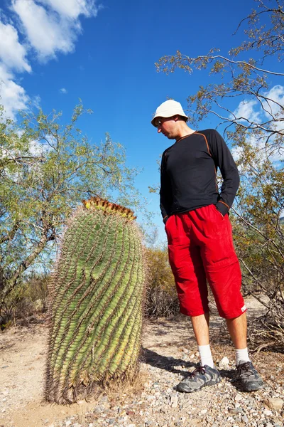 Stock image Cactus and man