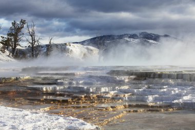 Yellowstone