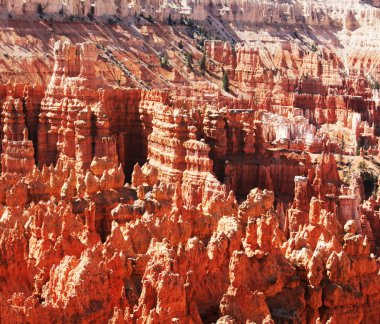 Bryce canyons cliff