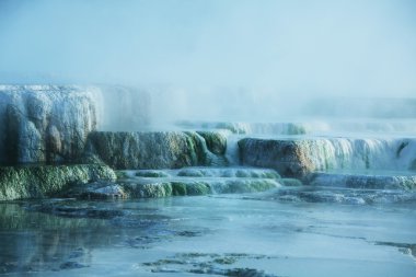 sıcak bahar Yellowstone