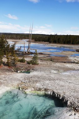 yellowstone Kaplıcalar