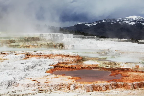 Primavera calda di Yellowstone — Foto Stock