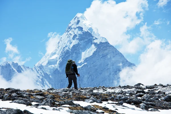 Caminata en el Himalaya — Foto de Stock