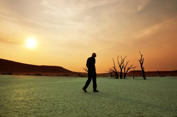 stock image Namib