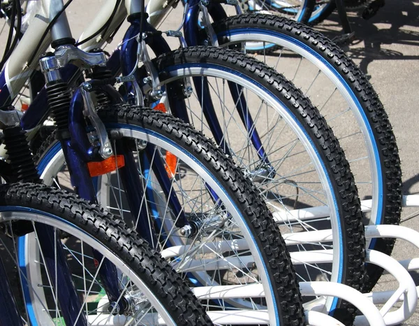 stock image Bikes