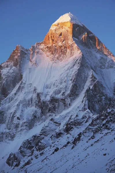 Pico de Shivling al amanecer — Foto de Stock