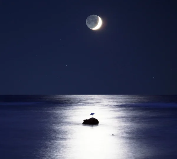 Moonlight — Fotografie, imagine de stoc