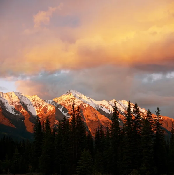 Kanadské hory — Stock fotografie