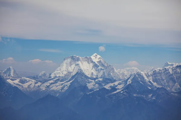 Himalayan — ストック写真