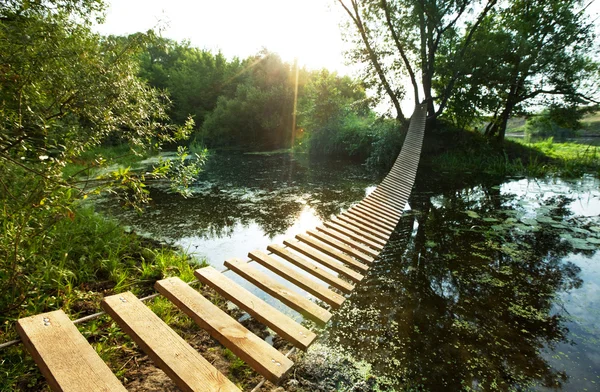 stock image Summer lake