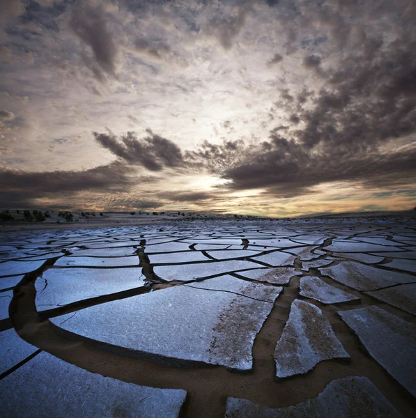 Sucho poušť — Stock fotografie