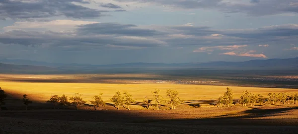 Prairie op Altaj — Stockfoto
