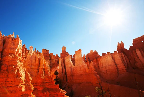 Bryce canyon ABD