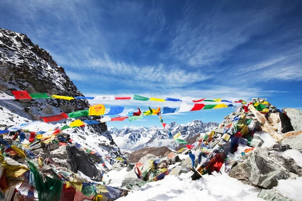 Himalayan — Stock Photo, Image