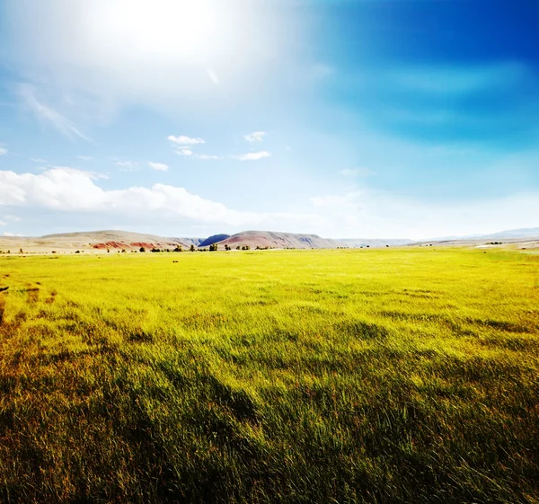 Field and blue — Stock Photo, Image