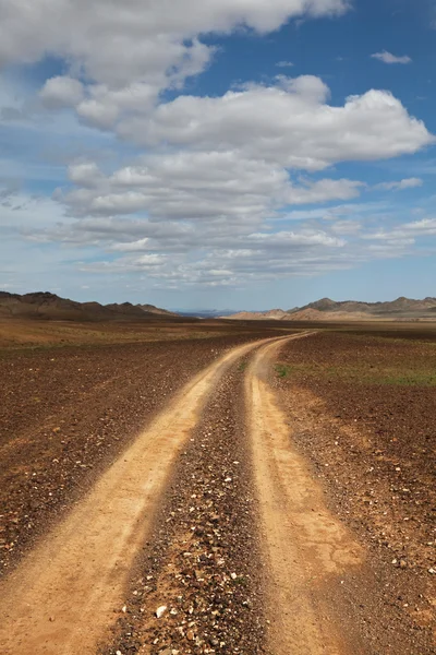 Vägen i prairie — Stockfoto