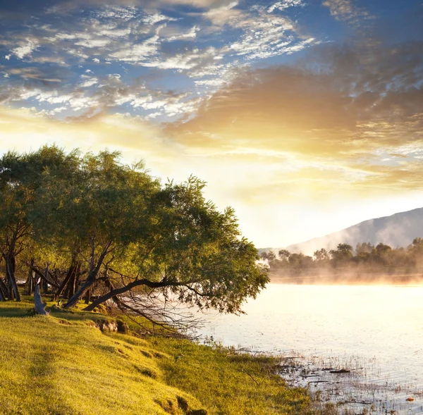 川沿いの日当たりの良い牧草地 ロイヤリティフリーのストック画像