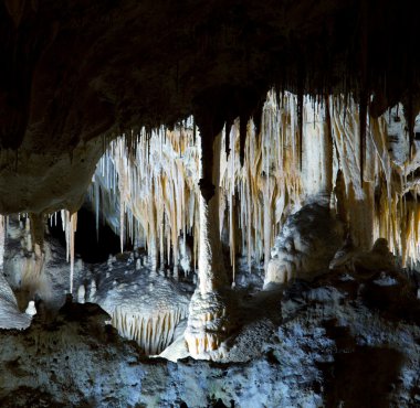 Carlsbad caverns Milli Parkı içinde usa