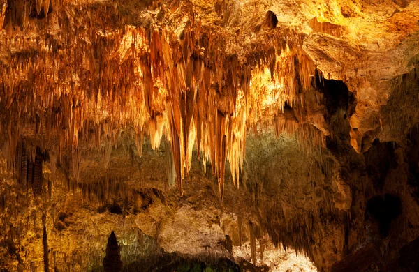 米国のカールズバッド洞窟群国立公園 — ストック写真