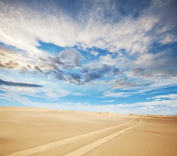 Deserto Gobi — Fotografia de Stock