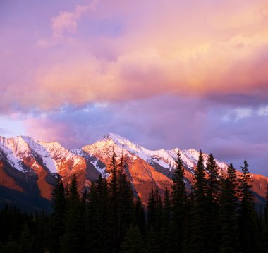 Kanadalı dağlar