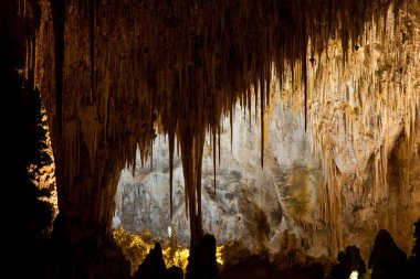 Carlsbad caverns Milli Parkı içinde usa