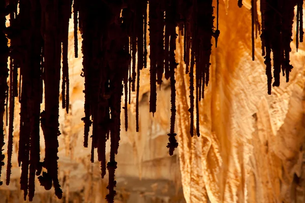 Εθνικό Πάρκο Carlsbad Caverns Στις Ηπα — Φωτογραφία Αρχείου