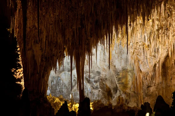 Parc National Des Cavernes Carlsbad Aux États Unis — Photo