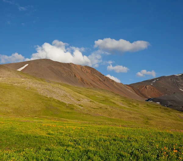 Βουνά του Αλτάι — Φωτογραφία Αρχείου