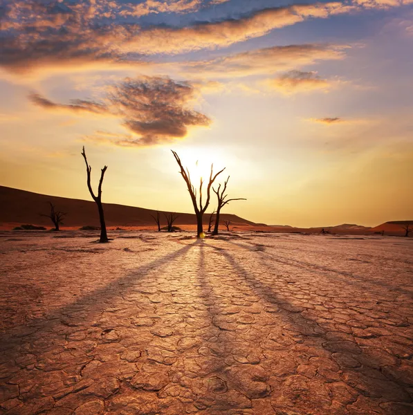 Dead Valley Namibia — Stock Photo, Image