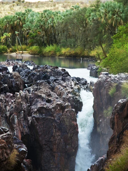 Tropiskt vattenfall — Stockfoto