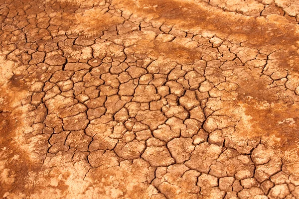 Drought Land — Stock Photo, Image