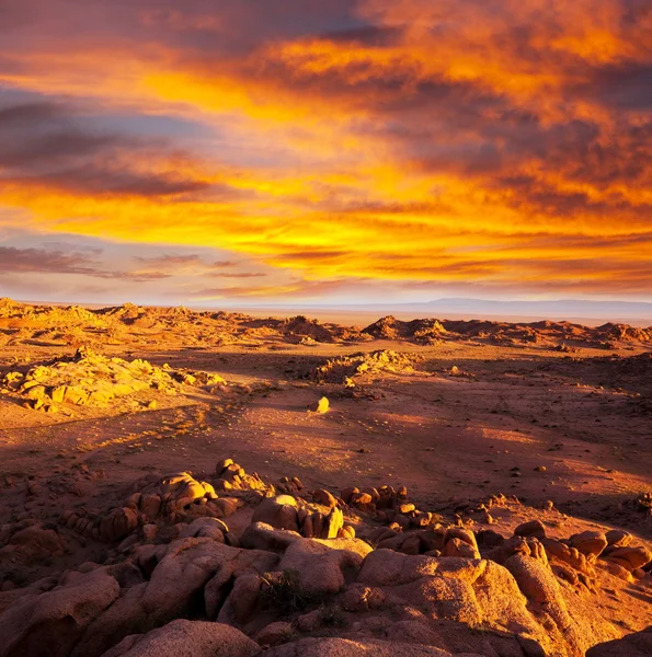 モンゴルのゴビ砂漠 — ストック写真