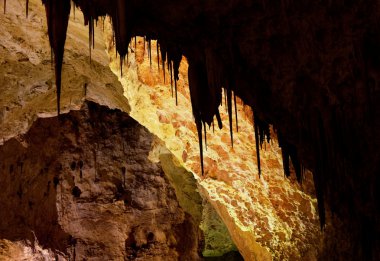 Carlsbad caverns Milli Parkı içinde usa