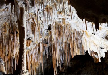 Carlsbad caverns Milli Parkı içinde usa