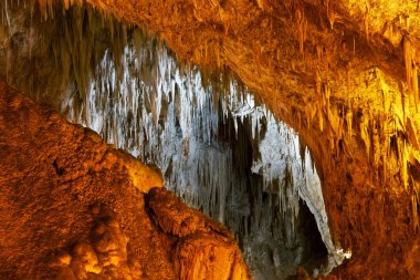 Carlsbad caverns Milli Parkı içinde usa