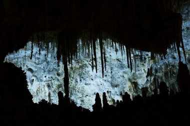 Carlsbad caverns Milli Parkı içinde usa