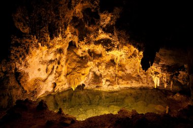 Carlsbad Caverns National Park in USA clipart