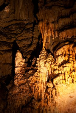 Carlsbad caverns Milli Parkı içinde usa